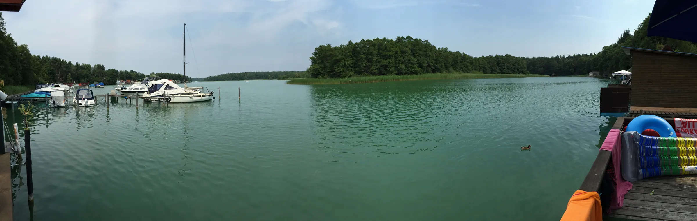 Panorama des Großen Zechliner Sees mit Bootsstegen