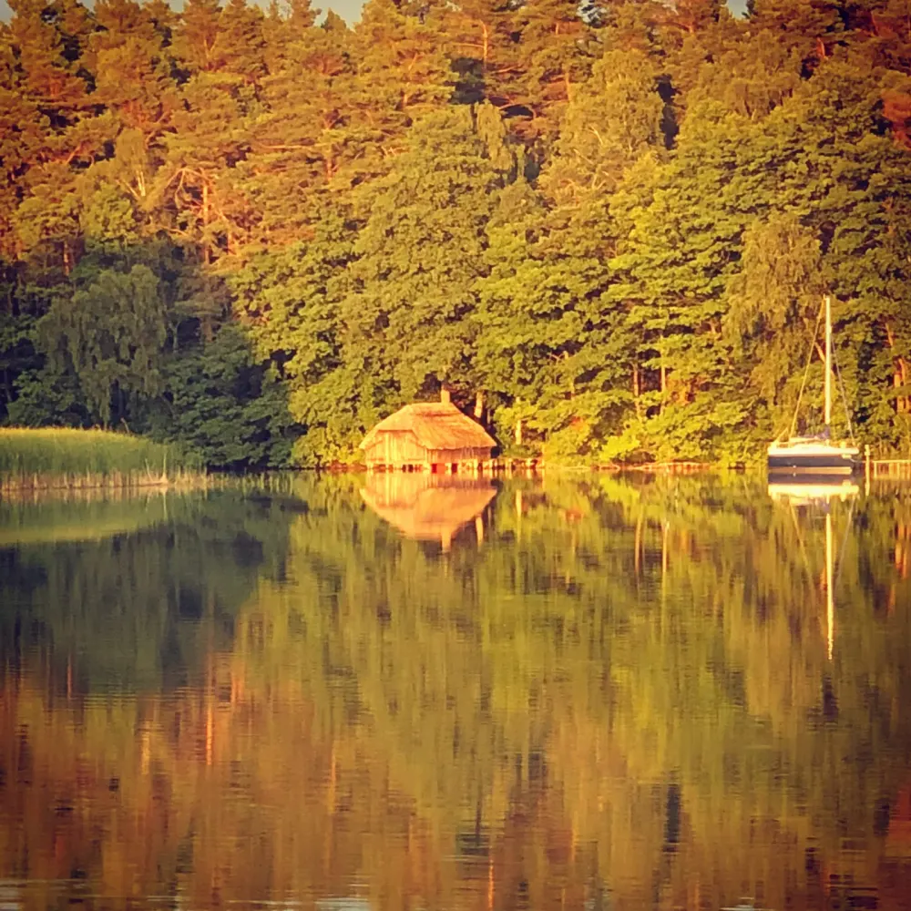 Herbstwald spiegelt sich im See