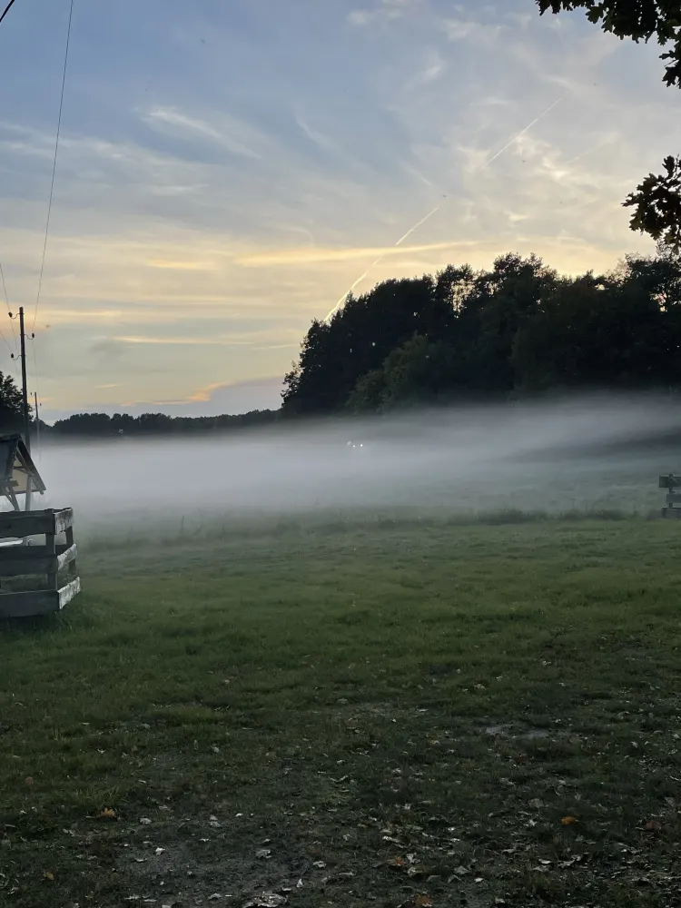 Blick auf die Weide bei Morgennebel